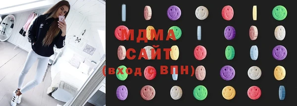 индика Вяземский