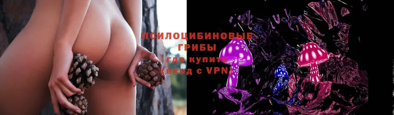 kraken онион  Барабинск  Галлюциногенные грибы Psilocybe 